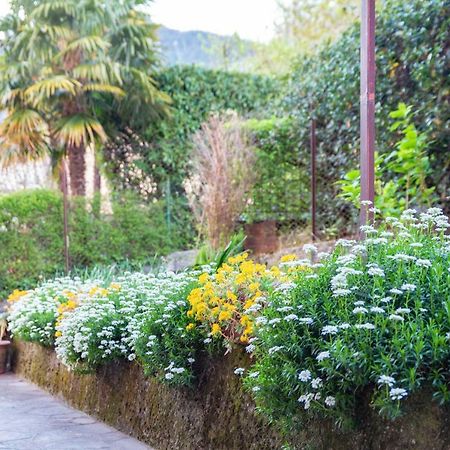 Casa Alice Apartman Lierna Kültér fotó